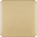 Schneider Electric Lisse Screwless Deco - Single Blank Plate, GGBL8010SB, Satin Brass